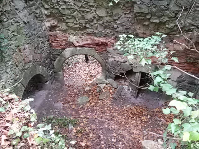 ruine scharfeneck mannersdorf naturpark leithagebirge niederoesterreich geocaching wandern