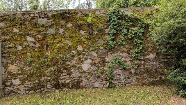 geocaching linz schatzsuche mauer verstecke caches