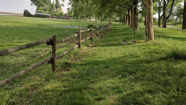 burgenland neusiedlersee fahrradtour route moerbisch geocaching schatzsuche mgs