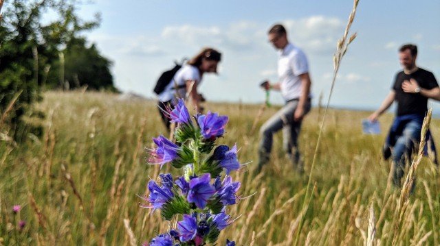geocaching leiserberge sommer teamevent teambuilding
