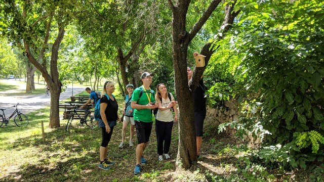 incentive-geocaching-burgenland-gps-schatzsuche-teambuilding