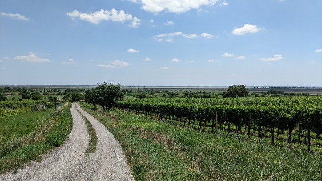 burgenland-radwandern-geocaching-wein-sonne-neusiedler see-mgs