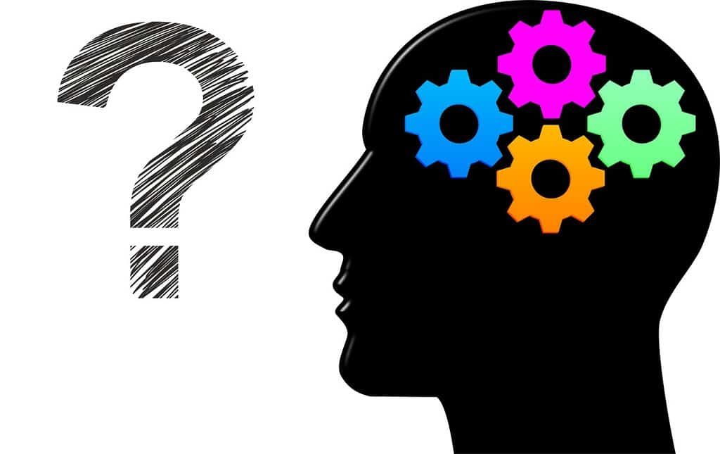 quizfrage quizgame knifflig nachdenken überlegen fragen