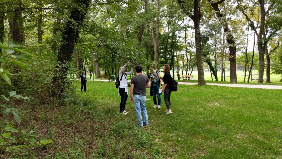 geocaching teamevent spaziergang team schatzsuche outdoor event fruehling sommer