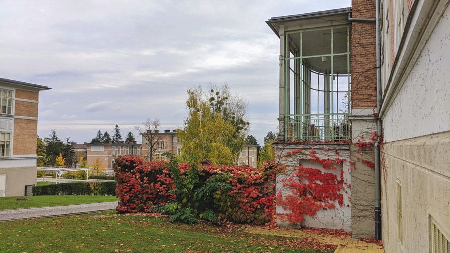 geocaching baumgartner hoehe steihofgruende otto wagner spital teambuilding betriebsausflug park pavillon