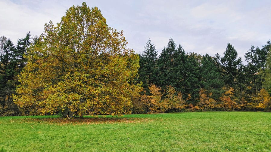 geocaching baumgartner hoehe steinhofgruende otto wagner spital teamevent firmenausflug park wienerwald