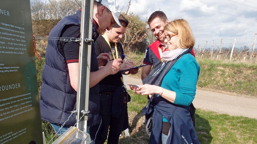 geocaching langenlois teamevent gruppe raetselralley weingarten spaziergang schatzsuche verstecke