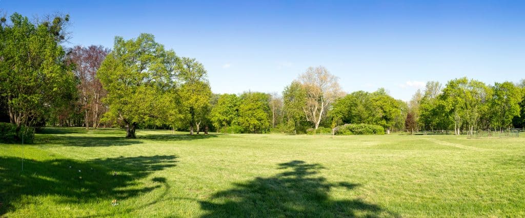 schoenau schlosspark wiese teambuilding firmenevent betriebsausflug schnitzeljagd