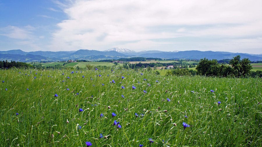 geocaching im mostviertel huegellandschft wiese oetscherblick pixabay