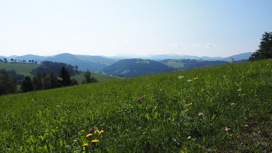 mostviertel geocaching niederoesterreich wiese huegellandschaft voralpen pixabay