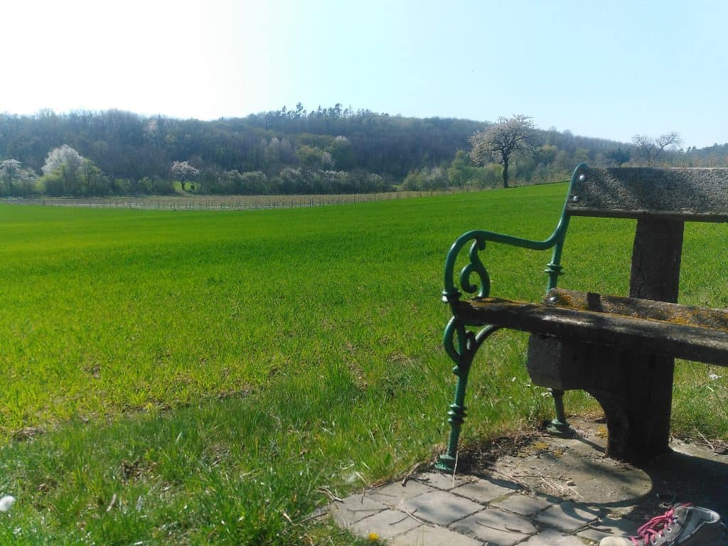 parkbank imgruenen geocaching teamevent outdoor betriebsausflug weinvietel