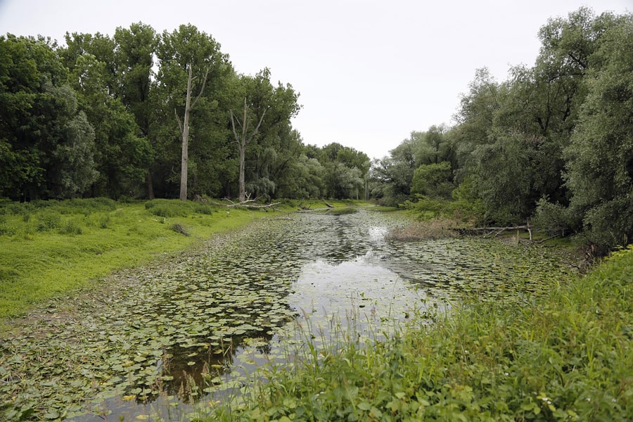 donauauen hainburg nationalpark geocaching gps wanderung raetselralley incentive betriebsausflug pxb
