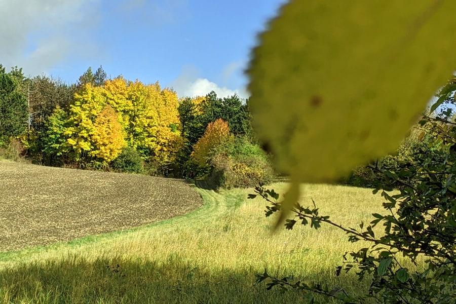 leiser berge ernstbrunn weinviertel trockenwiese felder wiese waldrand herbststimmung geocaching route gps mgs