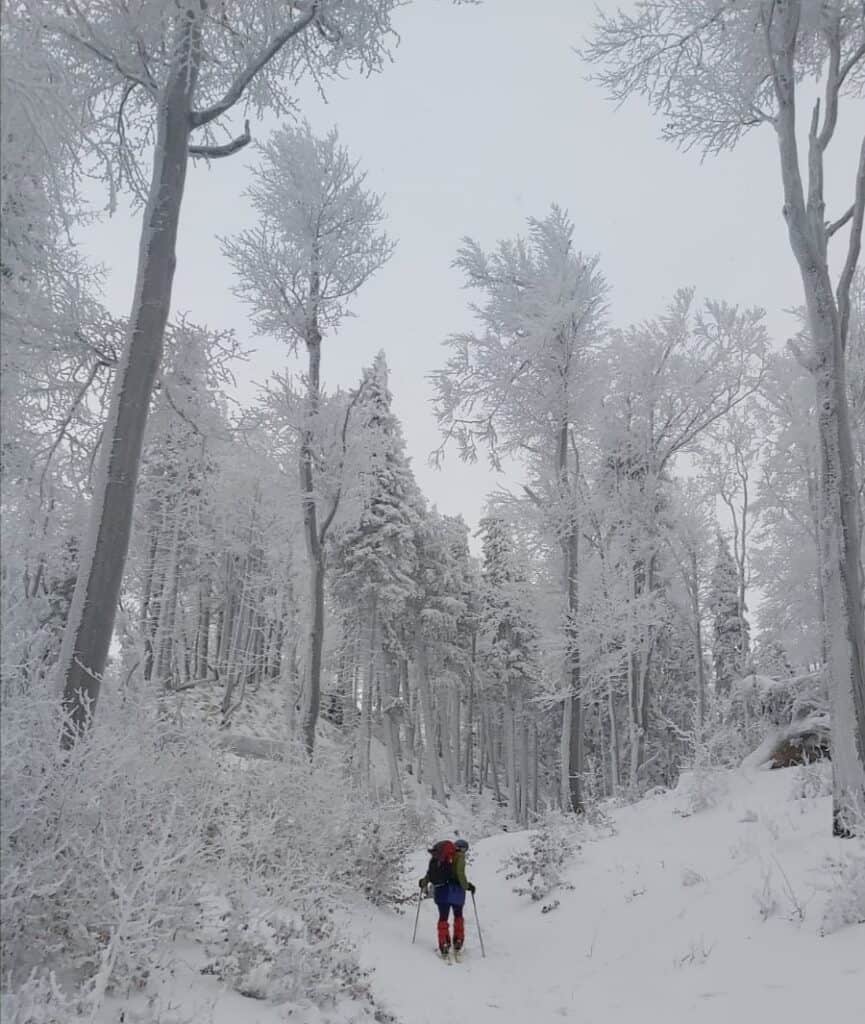 Durch das Winter Wonderland!